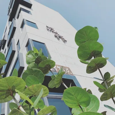 七星潭泥作輕旅民宿 鄰近七星柴魚博物館的酒店