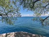 Fuxian Lake Winter and Summer Villa