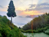 拾光貳號民宿（雲和梯田七星墩觀景台店） - 山景