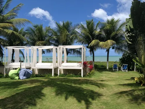 Praiagogi Boutique Pousada - bar
