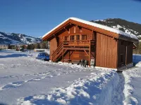 Alpenchalet Weidhaus Gstaad Hotels in Gstaad