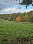 Cozy 1-BR cabin with Kid's Loft, Hot Tub & Large Deck on Working Buffalo Farm