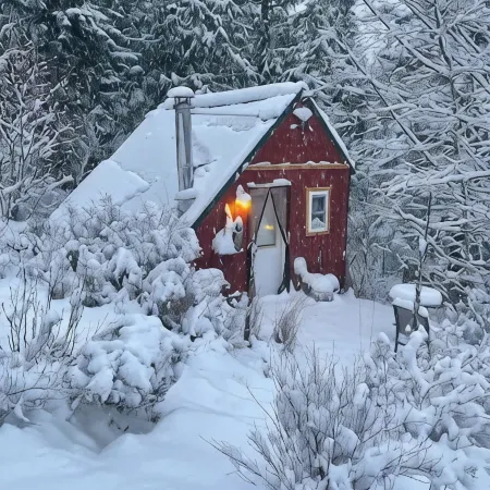 La Luna Tiny Cabin
