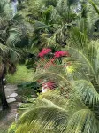 Charming beach front condo, Freeport ,Coral Beach, with AC/WiFi, salon/spa, pool