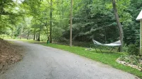 Molly Branch Cottage- Beautiful Private Setting, 5 Star ABNB, Newly Listed VRBO - 4-Star
