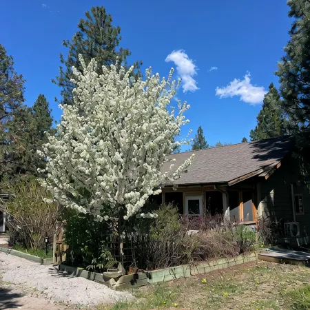 The Cottage at Parallel 46 Vineyard