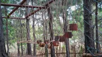Qiantian Songsu Forest Camping Base