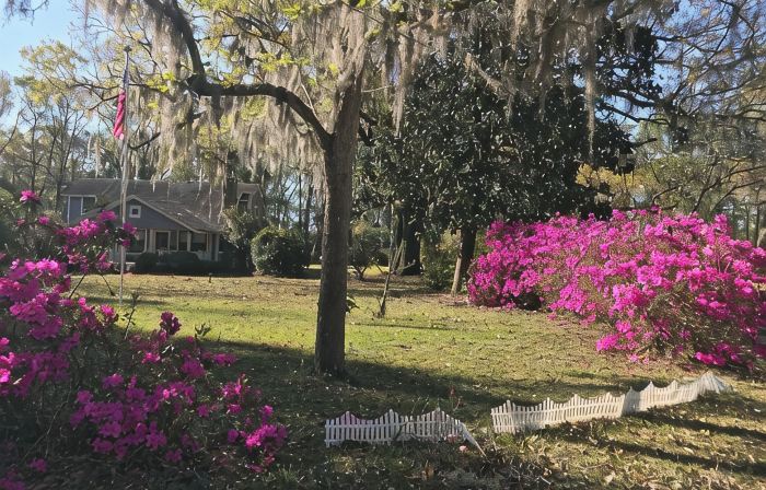 Farm/Woods Stay, 3 Miles from Live Oak