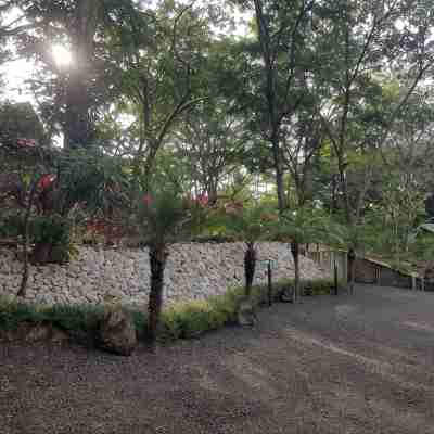 Nalia x1f343; Hotel Baliyana Lodge in the x1f49a; of nature. Hotel Exterior