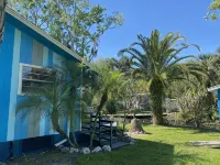 The Creek! in Old Homosassa across the street from the Freezer - Boutique