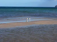 Apartment 12 sea view - 5 stars , own beach chair - View biển