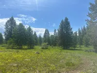Moose Meadows, a haven of wildlife, beside Yellowstone and Grand Teton Parks. - Chalets
