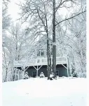 Cozy Mountain Cabin Perfect for Families and Pets