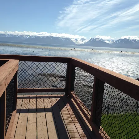 Homer Beachside Cabins