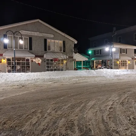 Cozy Apt close to the Catskill Park,Skiing, Hiking and more!