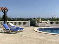 Traditional Portuguese house with lot of privacy and space. - Condos