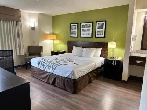 Sleep Inn & Suites Near Columbus - State University Area - Bữa sáng