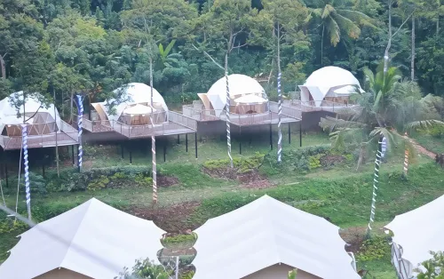 Dmangku Farm Mancak Serang