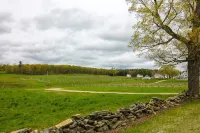 Great Ski or Summer Rental - 5 miles to Okemo/Ludlow, 25 Gorgeous Acres - 3-Star