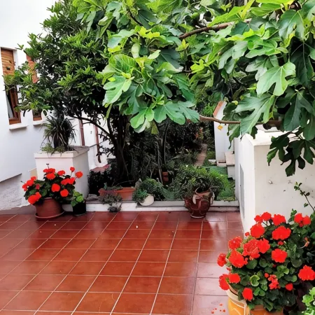 IN THE PARADISE OF SARDINIA NICE APARTMENT WITH SEA VIEW