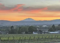 Amazing vineyard views! Conveniently located close to freeways and downtown. - 3-Star