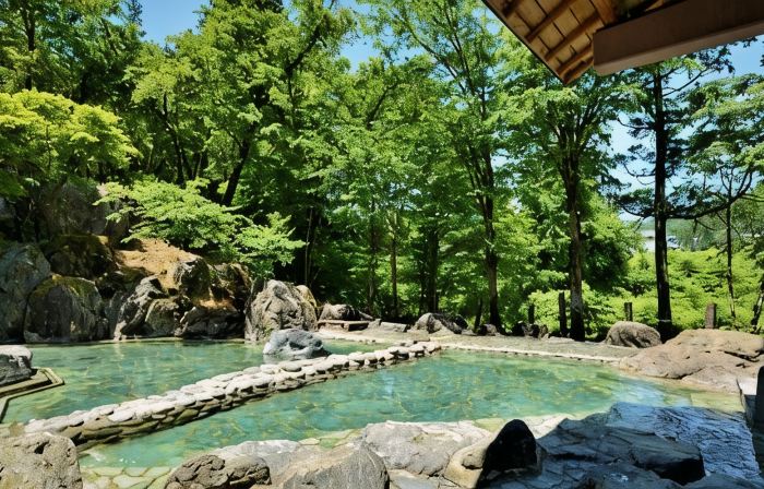 Hotel Yunotaniso