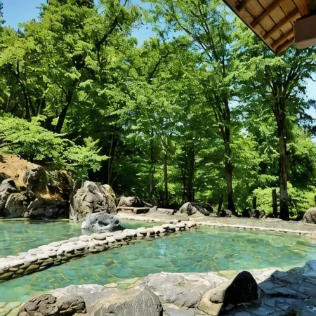 Hotel Yunotaniso
