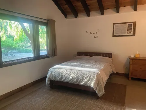 Moon River Cottage • Loft • River Access • Fireplace • Peaceful • Near Sequoia