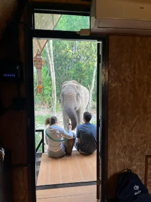 Hidden Gem Elephant - 2-Star