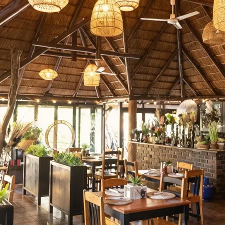 Eco Lodge