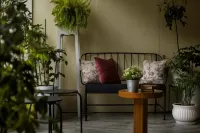 Silversky Guesthouse - Shillong