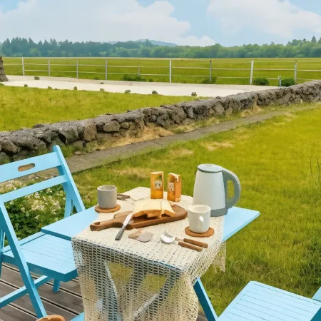 Pony Jeju Отели рядом с достопримечательностью «Тематический парк Eco Land»