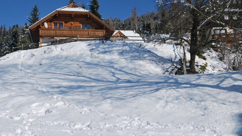 Ultimate Tranquillity at 1,100m - the Austrian Alm