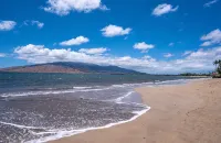 Modern & Tropical Oceanside Vistas