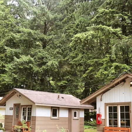 3 Rivers Resort and Guide Service
