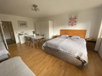 Heidelberg in the Countryside – Valley Views, Königstuhl, Good Transportation Links & Parking