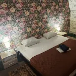 Tyumen na Respubliki Hotel-Hostel - Mountain view