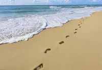 Oceanfront Beach House - Spectacular Views & Privacy - Homestays