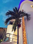 Hotel Blue Star Cancun - خدمة نقل من وإلى المطار