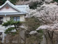 Nikko Senhime Monogatari Hotels near Shinkyo Bridge