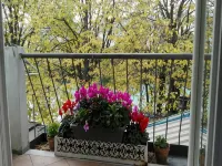 Villa Fiorita - 3-Star