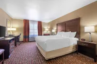 Comfort Inn & Suites Artesia - 2-Star
