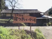 Old Guest House / Sleeping Fox