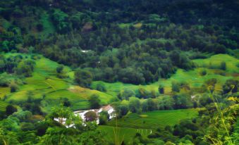 a picturesque view of a lush green valley with a white house nestled in the hills at Santani Wellness Kandy