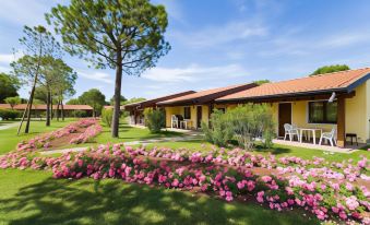 Campeggio del Garda