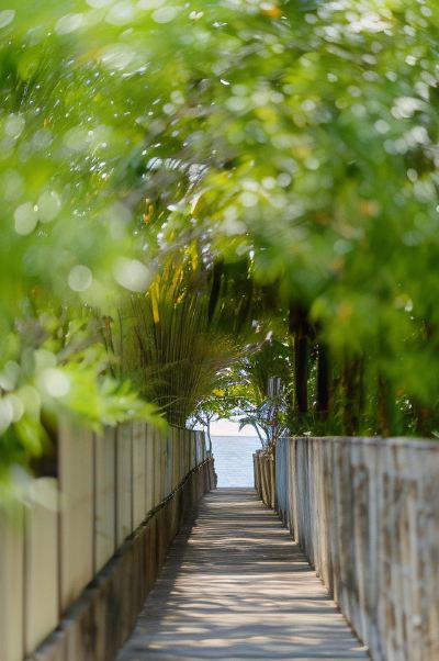 ホテル周辺 ザ リーフ オーシャンサイド リゾートの写真