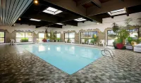 Marmot Lodge Jasper - Pool