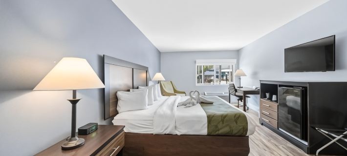 Quality Inn & Suites Tampa Near Fairgrounds and Casino Hotels in Tampa