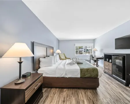 Quality Inn & Suites Tampa Near Fairgrounds and Casino Hotels in Tampa