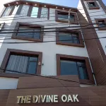 The Divine Oak
